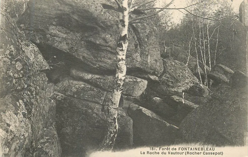 La Roche du Vautour (Rocher Cassepot) — Forêt de Fontainebleau — n° 181 - Vorderseite